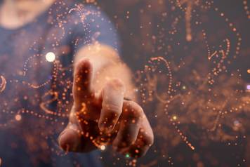 © vegefox.com - stock.adobe.com