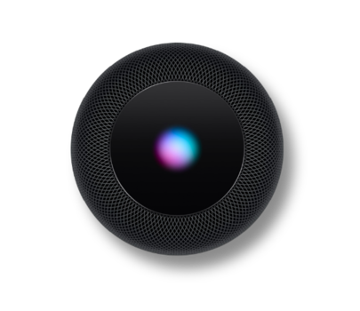 Smart Speaker Development